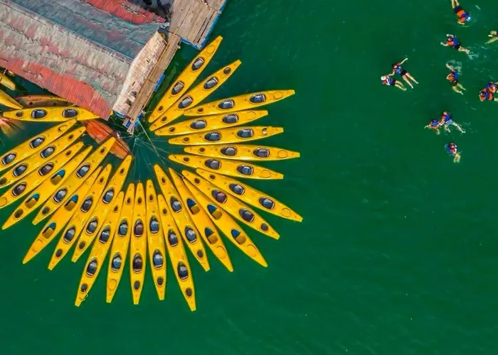 Lotus Boutique Cruise 